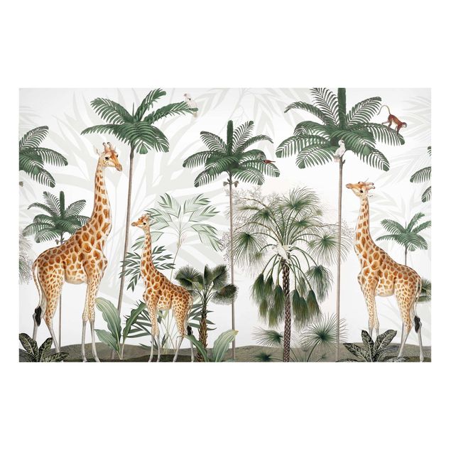Wandbilder Giraffen Eleganz der Giraffen im Dschungel