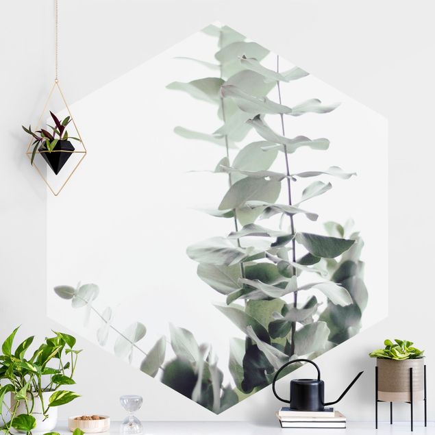 Wanddeko Küche Eukalyptus im Weißen Licht