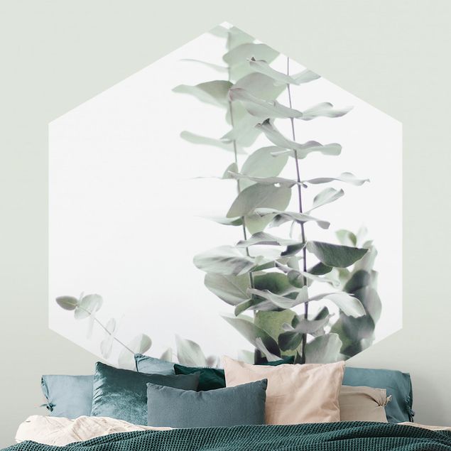 moderne Fototapete Eukalyptus im Weißen Licht