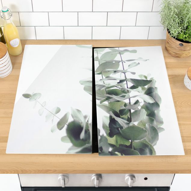 Wanddeko Küche Eukalyptus im Weißen Licht