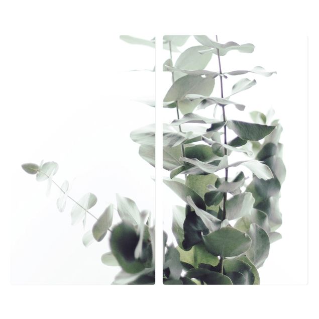 Herdabdeckung Glas Eukalyptus im Weißen Licht
