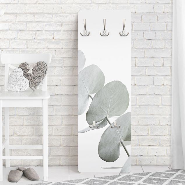 Garderobe Blume Eukalyptuszweig im Weißen Licht
