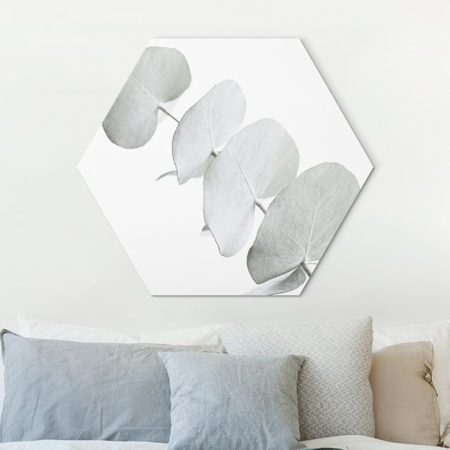 Wanddeko Küche Eukalyptuszweig im Weißen Licht