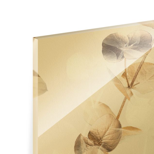 Bilder auf Glas Eukalyptuszweige in Gold
