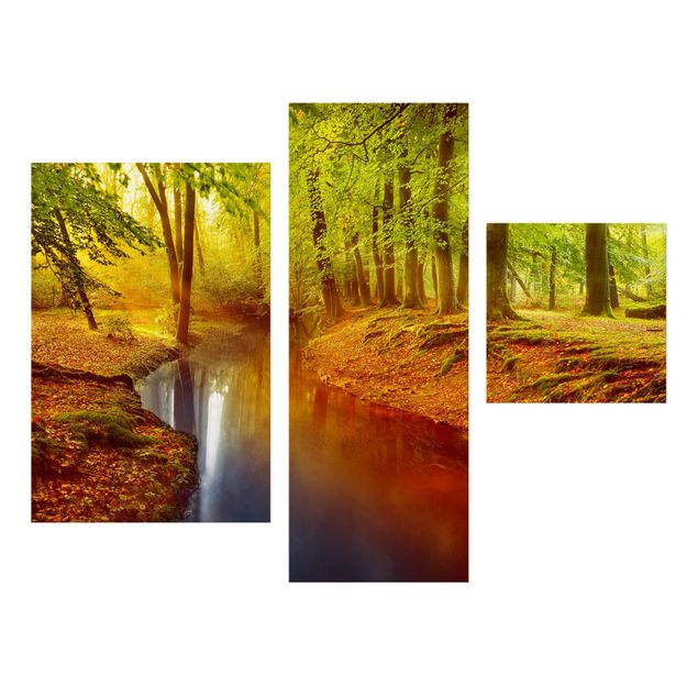 Wandbilder Landschaften Herbstwald