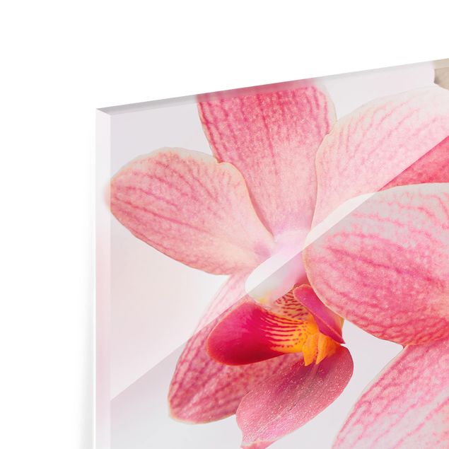 Spritzschutz Glas - Rosa Orchideen auf Wasser - Querformat - 2:1