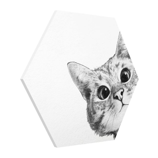 Wandbilder Kunstdrucke Illustration Katze Zeichnung Schwarz Weiß