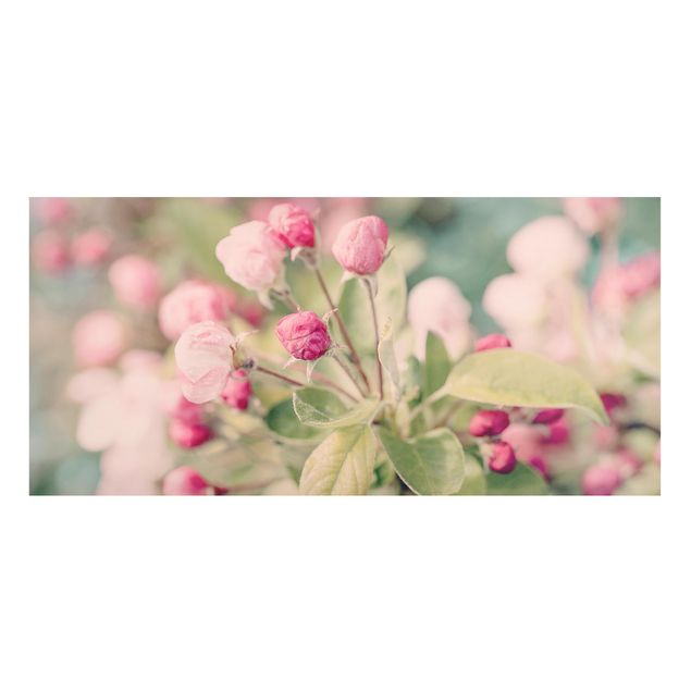 Magnettafeln Blumen Apfelblüte Bokeh rosa