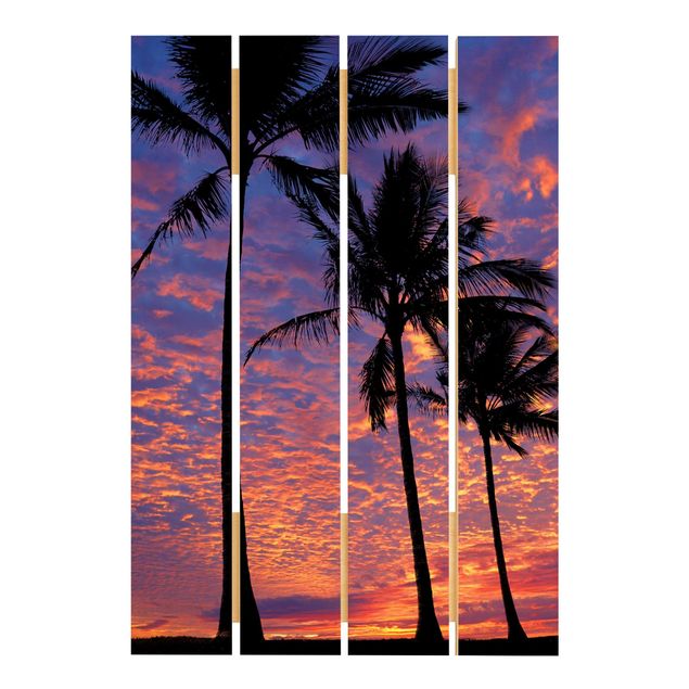 schöne Bilder Palms