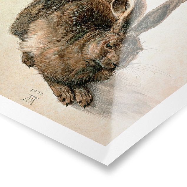 Poster Tiere Albrecht Dürer - Junger Feldhase