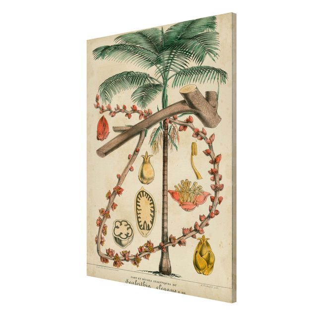 Magnettafeln Blumen Vintage Lehrtafel Exotische palmen II