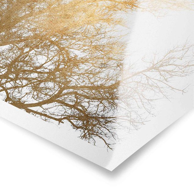 Poster Natur Vogelschwarm vor goldenem Baum