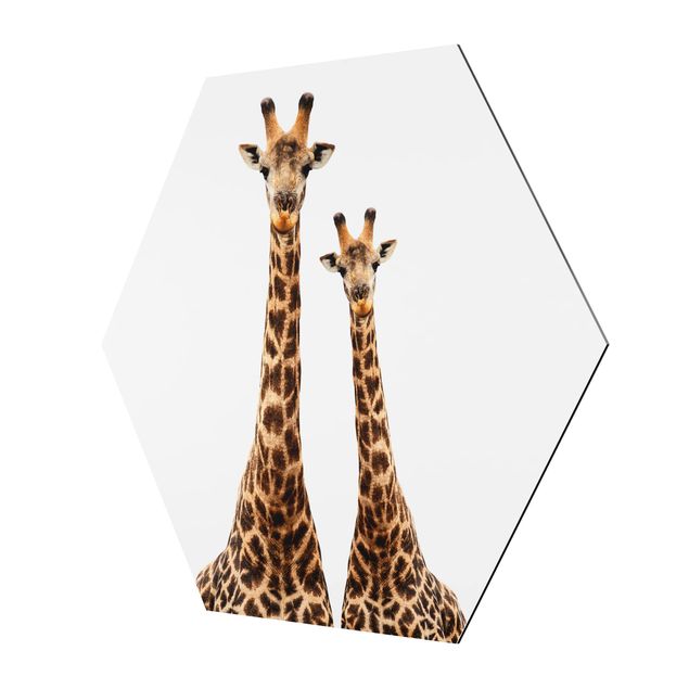 Hexagon Bilder Portait Zweier Giraffen