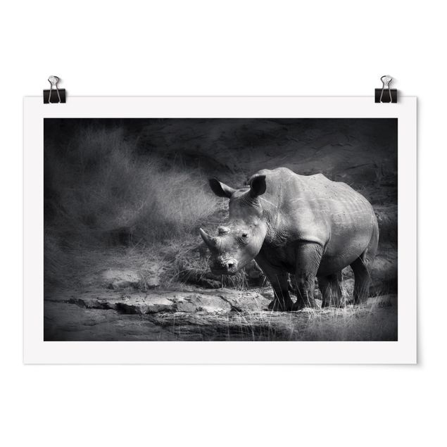 Wandbilder Afrika Lonesome Rhinoceros