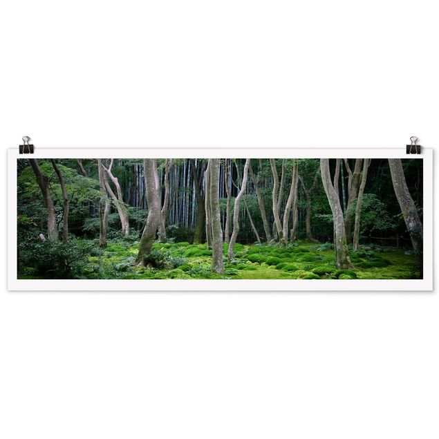 Natur Poster Japanischer Wald