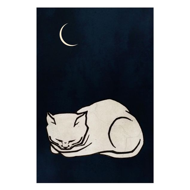 Wandbilder Katzen Schlafende Katze Illustration