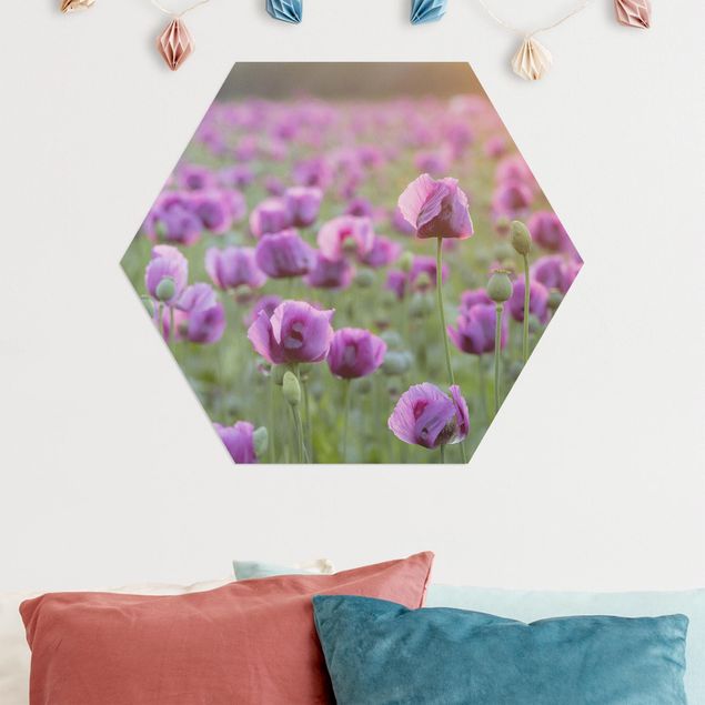 Küche Dekoration Violette Schlafmohn Blumenwiese im Frühling