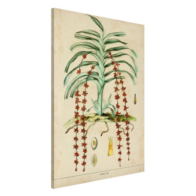 Küche Dekoration Vintage Lehrtafel Exotische Palmen IV