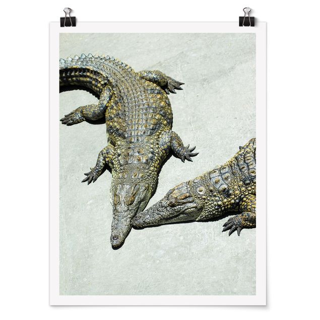 Wandbilder Modern Crocodile Romance
