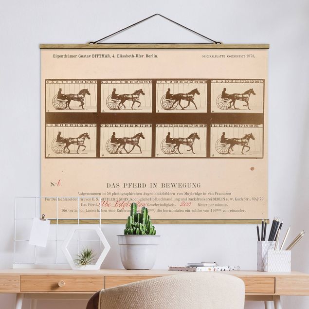 Wanddeko Küche Eadweard Muybridge - Das Pferd in Bewegung