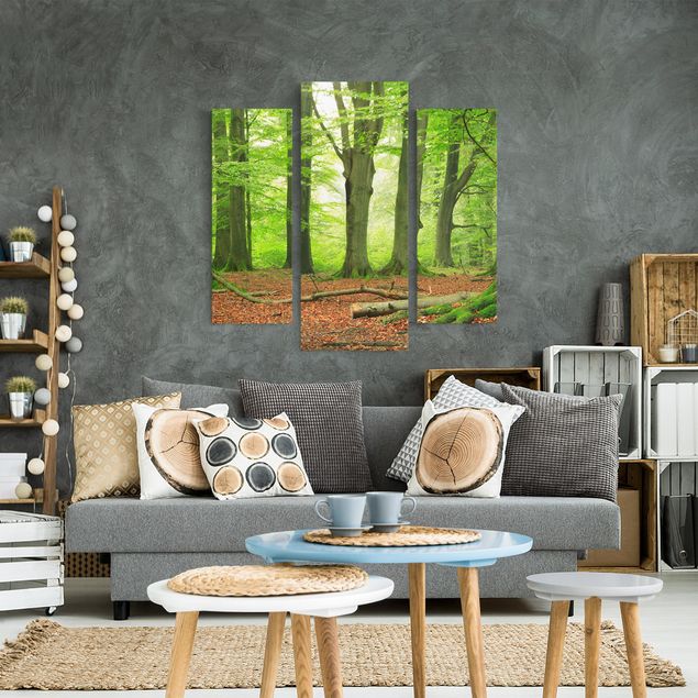 Wandbilder Landschaften Mighty Beech Trees