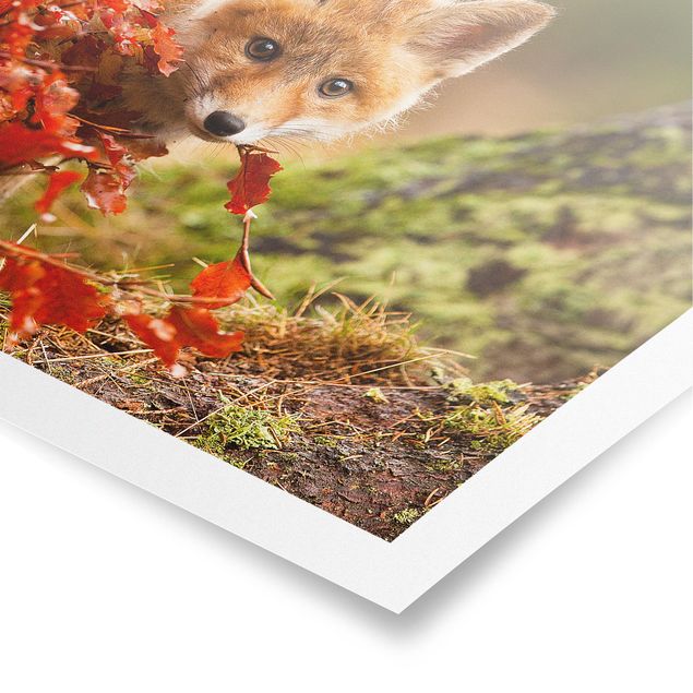Wandbilder Floral Fuchs im Herbst