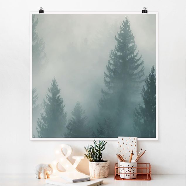 Wandbilder Bäume Nadelwald im Nebel