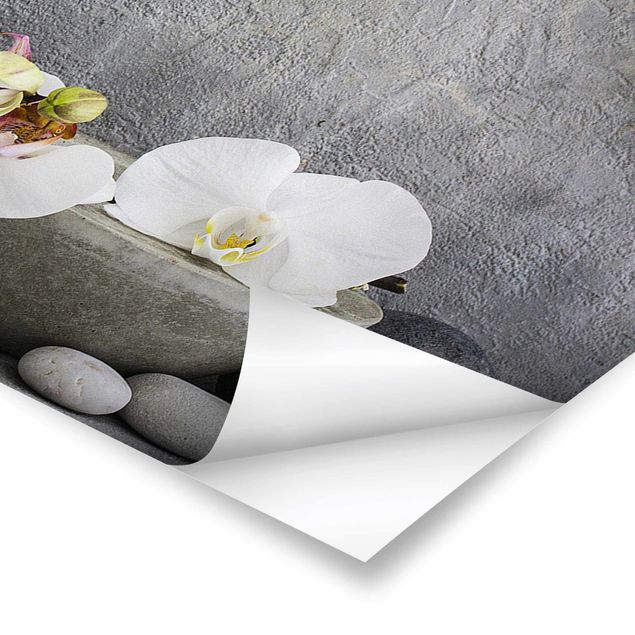Bilder Andrea Haase Zen Buddha mit weißen Orchideen