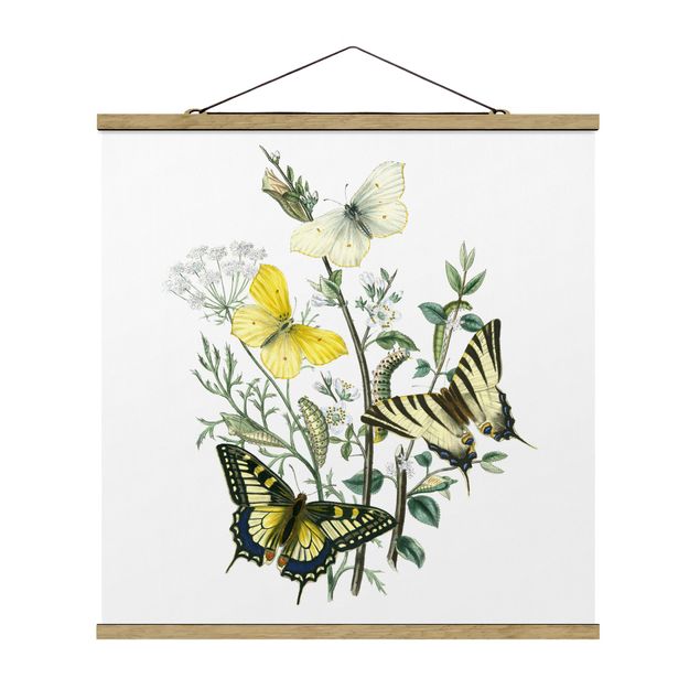 Wandbilder Blumen Britische Schmetterlinge III
