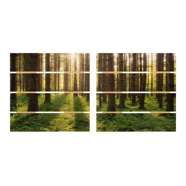 schöne Bilder Sonnenstrahlen in grünem Wald