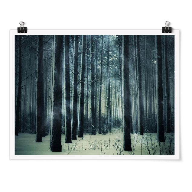 Wandbilder 3D Mystischer Winterwald