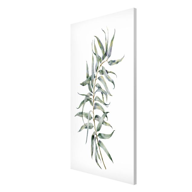Wandbilder Floral Aquarell Eucalyptus IV