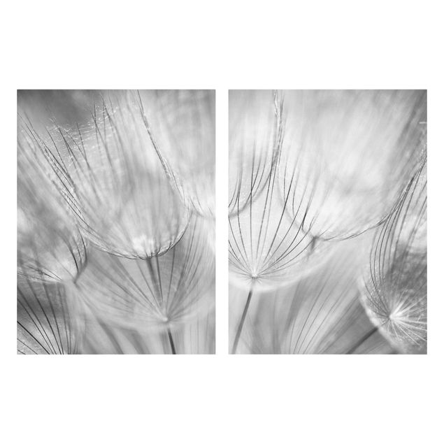 Blumenbilder auf Leinwand Pusteblumen Makroaufnahme in schwarz weiß