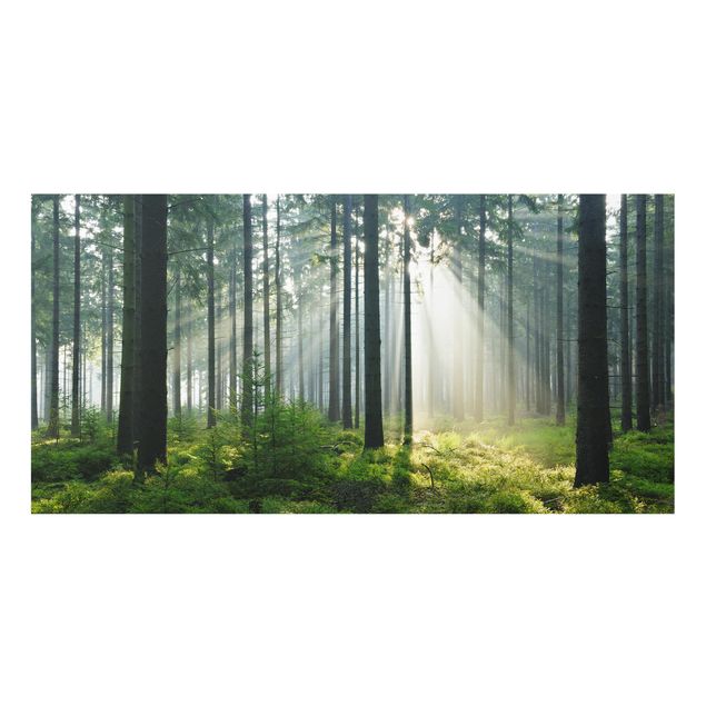 Spritzschutz Glas - Enlightened Forest - Querformat - 2:1