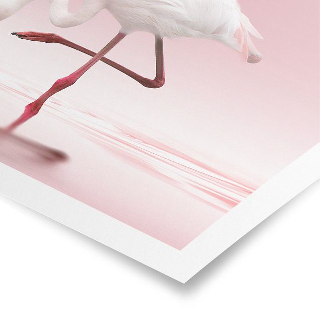 Wandbilder Rosa Flamingo Dance