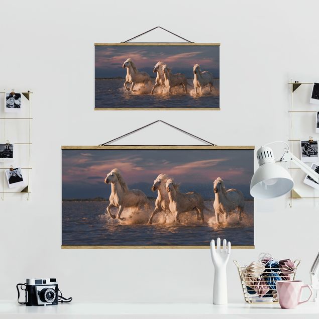 Wandbilder Natur Wilde Pferde in Kamargue