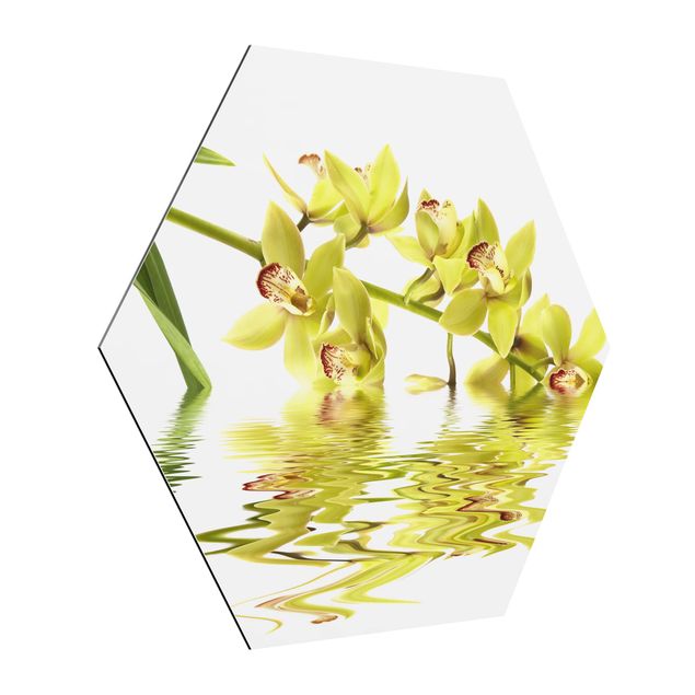 Wandbilder Blumen Elegant Orchid Waters