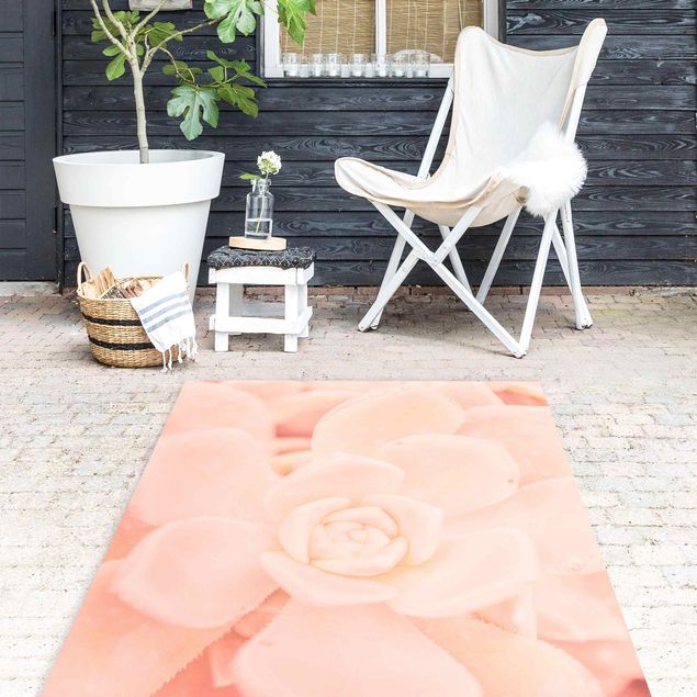 teppich für balkon Rosa Blütenzauber Echeveria