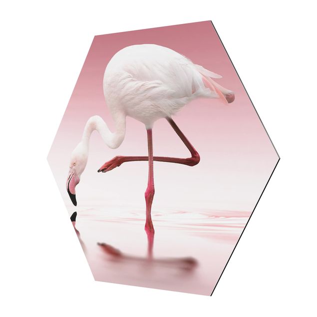 Wandbilder Flamingo Dance