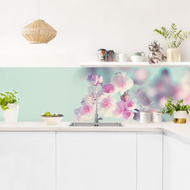 Glasrückwand Küche Farbenfrohe Kirschblüten