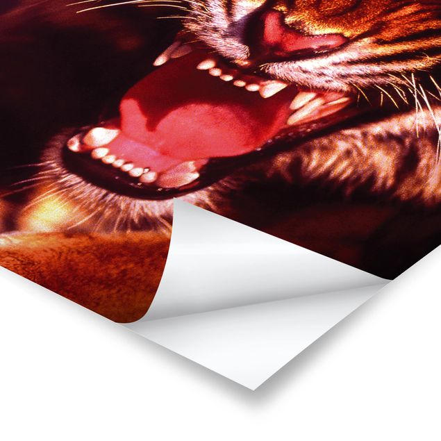 Poster bestellen Wilder Tiger