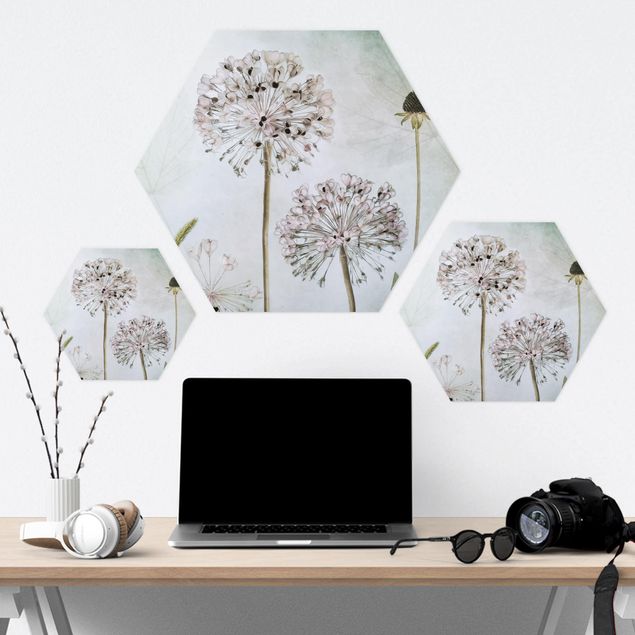 Hexagon Bild Forex - Lauchblüten in Pastell