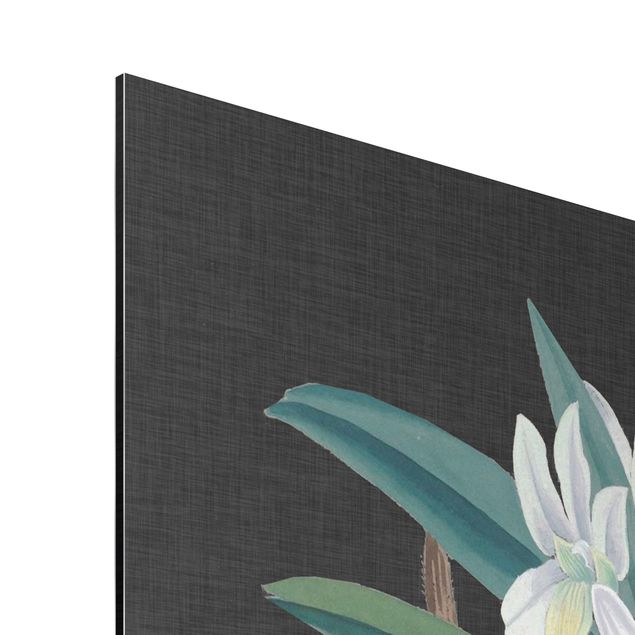 Wandbilder Retro Weiße Orchidee auf Leinen I