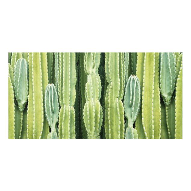 Spritzschutz Glas - Kaktus Wand - Querformat - 2:1