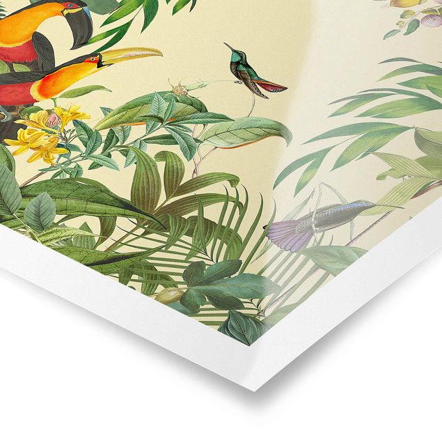 Wandbilder Bunt Vintage Collage - Vögel im Dschungel