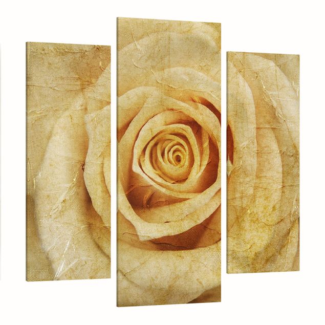 Wandbilder Floral Vintage Rose