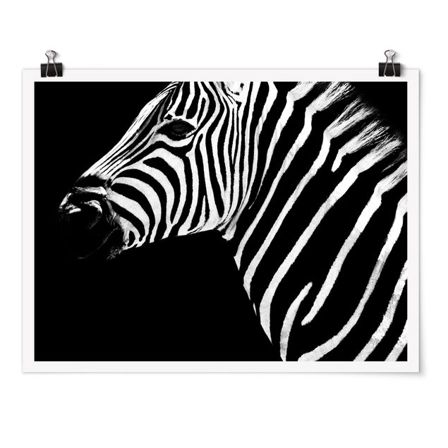 Poster Tiere Zebra Safari Art