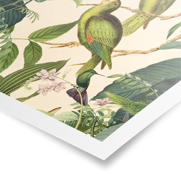 Kunstkopie Poster Vintage Collage - Papageien im Dschungel