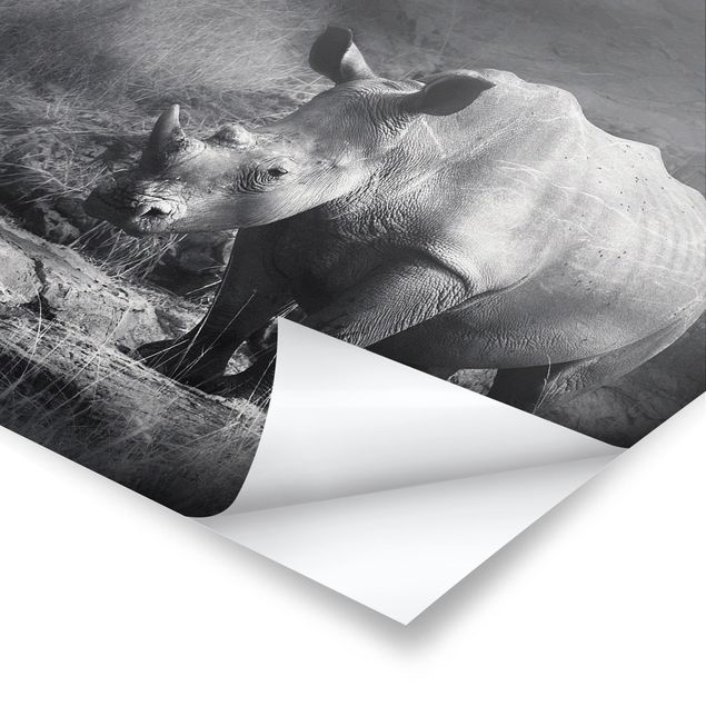 Poster Lonesome Rhinoceros