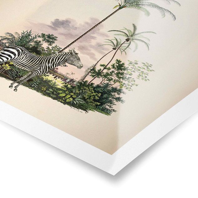 Tierposter Zebra vor Palmen Illustration